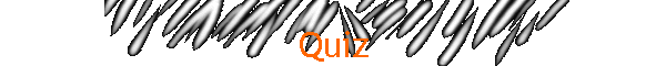 Quiz