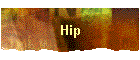 Hip