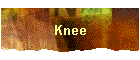 Knee