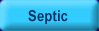 Septic Arthritis