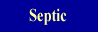 Septic Arthritis