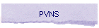 PVNS