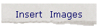 Insert  Images