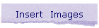 Insert  Images