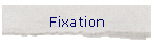 Fixation